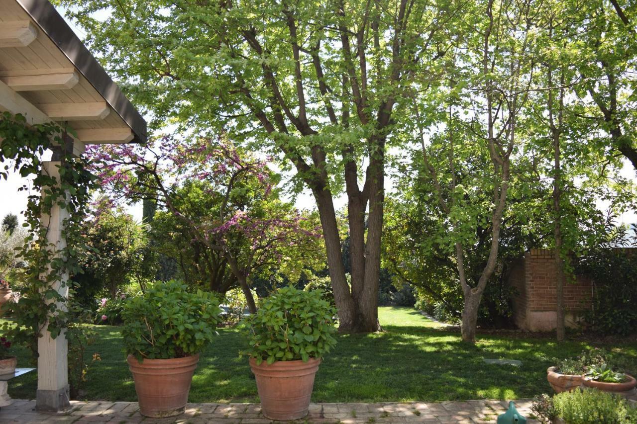 Fioreconero Bed & Breakfast Montacuto